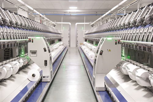 赋能基层治理与民生发展 全国县域数字技术服务的探索与实践