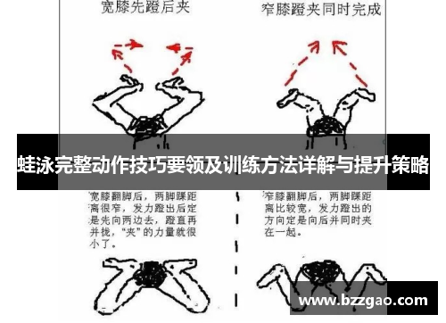 蛙泳完整动作技巧要领及训练方法详解与提升策略