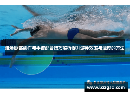 蛙泳腿部动作与手臂配合技巧解析提升游泳效率与速度的方法