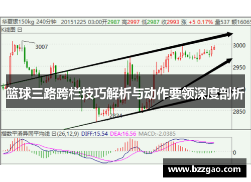 篮球三路跨栏技巧解析与动作要领深度剖析