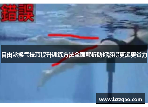 自由泳换气技巧提升训练方法全面解析助你游得更远更省力